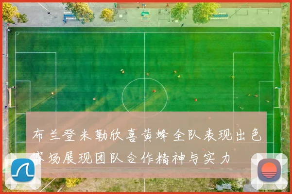 布兰登米勒欣喜黄蜂全队表现出色赛场展现团队合作精神与实力